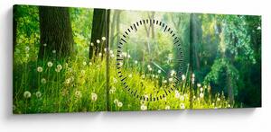 Obraz - Magická lúka plná púpav (s hodinami) (90x30 cm)