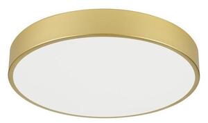 Immax NEO 07292L - LED+CCT stmievateľné stropné svietidlo SEMPLICI 36W/230V pr. 40 cm+DO