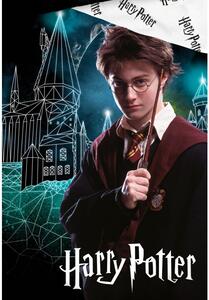 TipTrade Bavlnené obliečky 140x200 + 70x90 cm - Harry Potter kúzelné Bradavice
