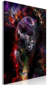 Obraz - Čierny jaguár 40x60