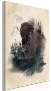Obraz - Statný bizón 40x60