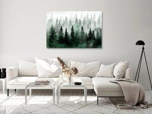 Obraz - Škandinávsky hmlistý les 90x60