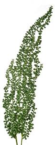 Zelená umelá previsnutá rastlina starček - 74 cm - Clayre & Eef