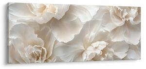 Obraz - Jemné pivonky (120x50 cm)