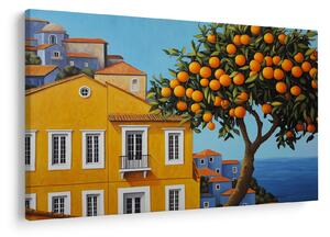 Obraz - Pomarančovník (90x60 cm)