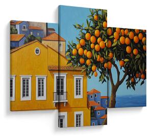 Obraz - Pomarančovník (90x60 cm)