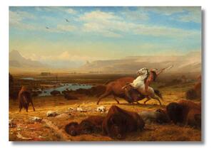 Obraz Albert Bierstadt - Posledný bizón - S (40x30cm) 49€