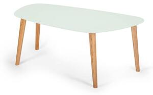 Konferenčný stolík Endocarp 110x66x45cm - mäta / jaseň
