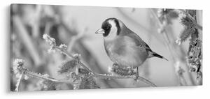 Obraz - Vtáčik v zime (120x50 cm)