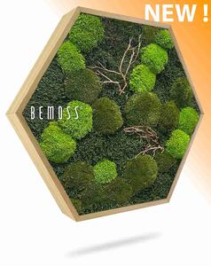 Machový Hexagon FLATMOSS & BOLMOSS Doven WOOD - Priemer 30 cm (v najširšom mieste šesťuholníka)