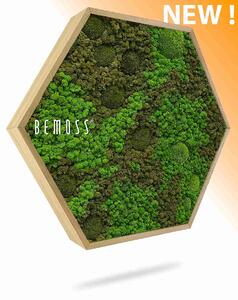Machový Hexagon BEMOSS® ORTHO ASEL - Priemer 30 cm (v najširšom mieste šesťuholníka)
