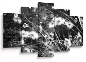 Obraz - Pavučina na lúke (150x105 cm)