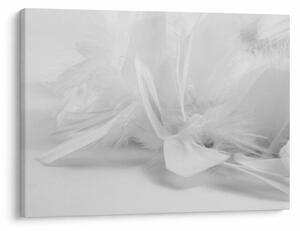 Obraz - Perie (70x50 cm)