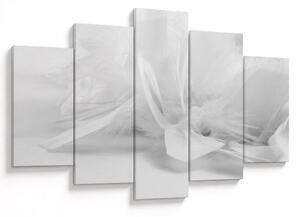 Obraz - Perie (150x105 cm)