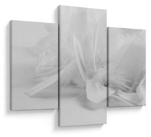 Obraz - Perie (90x60 cm)