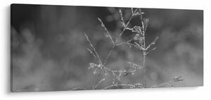 Obraz - Vidiecka lúka (120x50 cm)