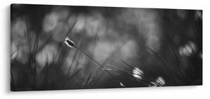 Obraz - Lúčna tráva (120x50 cm)