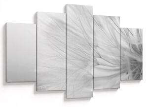 Obraz - Púpava (150x105 cm)