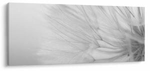 Obraz - Púpava (120x50 cm)