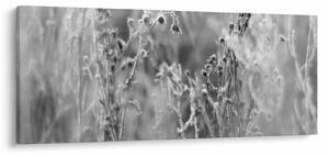 Obraz - Divoká lúka (120x50 cm)