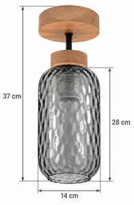 BRILAGI - LED Prisadený luster R GLASS 1xE27/60W/230V pr. 14 cm dub/dymová sivá