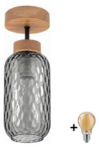 BRILAGI - LED Prisadený luster R GLASS 1xE27/60W/230V pr. 14 cm dub/dymová sivá