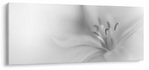 Obraz - Jemná ľalia (120x50 cm)