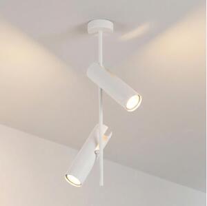 Brilagi - Luster na tyči BRANCH 2xGU10/30W/230V biela