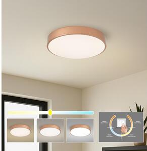 BRILAGI - LED Stropné svietidlo POOL LED/48W/230V 3000/4000/6000K pr. 40 cm medené