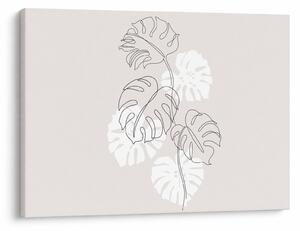 Obraz - Line art monstera N⁰3 (70x50 cm)