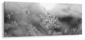 Obraz - Jesenná lúka (120x50 cm)