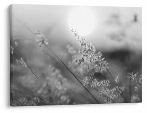 Obraz - Jesenná lúka (70x50 cm)