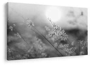 Obraz - Jesenná lúka (90x60 cm)