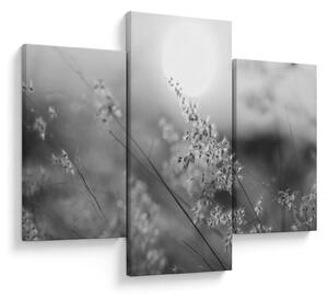 Obraz - Jesenná lúka (90x60 cm)