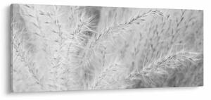 Obraz - Pampas grass N⁰1 (120x50 cm)