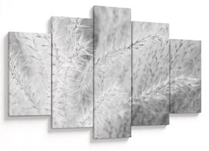 Obraz - Pampas grass N⁰1 (150x105 cm)