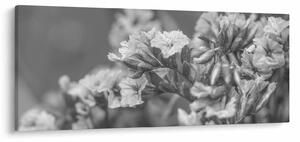 Obraz - Sušené kvety (120x50 cm)