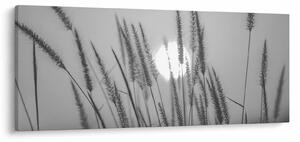 Obraz - Lúka pri západe slnka (120x50 cm)