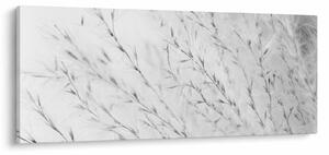 Obraz - Pampas grass N⁰2 (120x50 cm)