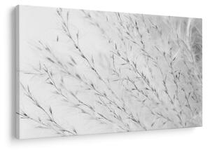 Obraz - Pampas grass N⁰2 (90x60 cm)
