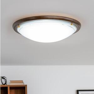 Rabalux 5427 - Stropné svietidlo UFO 2xE27/60W/230V