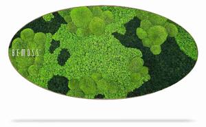 Machový obraz Elipsa BEMOSS® ORTHO CORCON - 50 x 100 cm