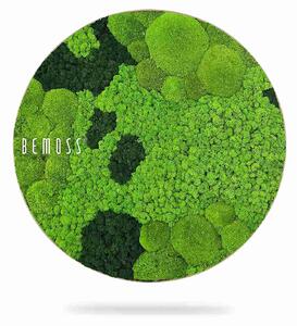 Machový obraz kruh BEMOSS® ORTHO CORCON - Priemer 40 cm