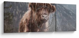 Obraz - Highlander krava (s hodinami) (90x30 cm)