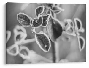 Obraz - Príroda na jeseň (70x50 cm)