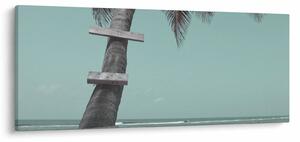 Obraz - Palma v Karibiku (120x50 cm)