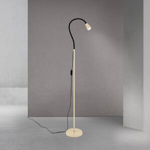 Stojacia lampa Dotty, khaki, výška 145 cm, flexibilné rameno, GU10, Krémová / jantárovo žltá, Obývacia izba / jedáleň, kov, Moderný, Svetlo na čítanie