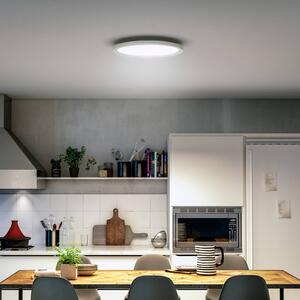 Philips Hue stropné LED svetlo White Ambiance Aurelle, Ø 40 cm, Biela / opálová, Obývacia izba / jedáleň, kov, Moderný, Závesné svietidlo