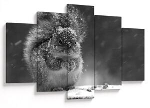 Obraz - Veverička v zime (150x105 cm)