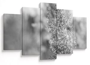 Obraz - Boho pampas grass (150x105 cm)